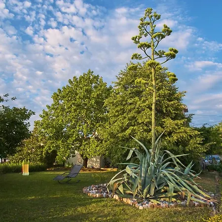 Apartma Pic Ros Lägenhet *