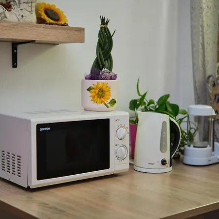 Apartma Pic Ros Apartamento