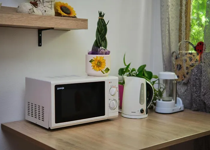 Apartma Pic Ros شقة